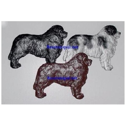 Newfoundlander decoratieplaat