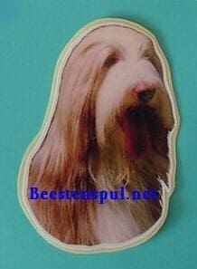 Bearded Collie sticker 02