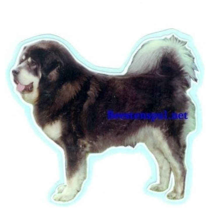 Tibetaanse Mastiff sticker 02