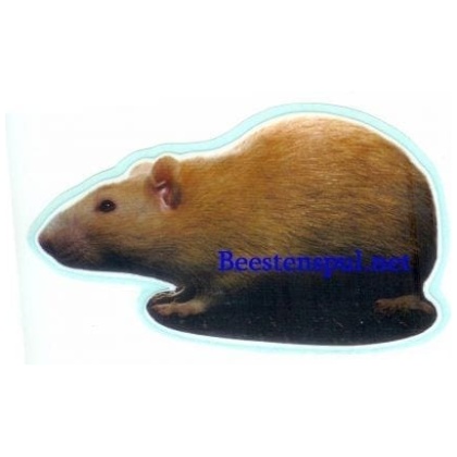 Ratten sticker 02