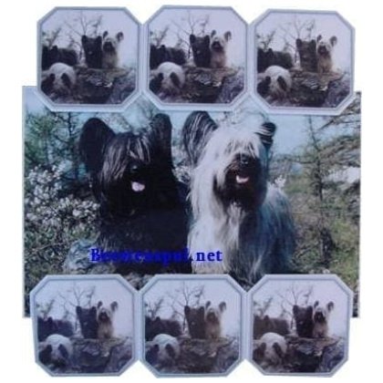 Skye Terrier onderzetter set