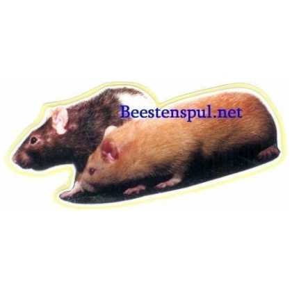 Ratten sticker 03