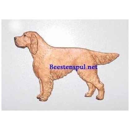 Ierse Setter decoratieplaat