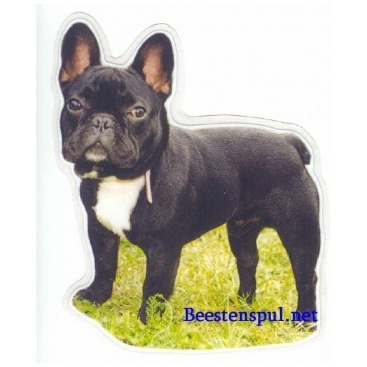 Franse Bulldog Sticker 21