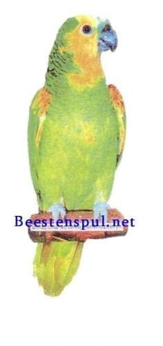 Sticker - Groene Amazone - 2 1 Groene Amazone sticker 02