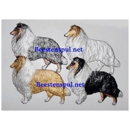 Collie decoratieplaat
