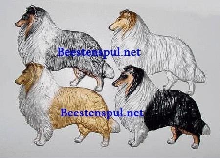 Decoratieplaat - Collie 1 Collie decoratieplaat