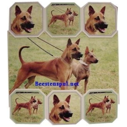 Thai Ridgeback onderzetter set 01