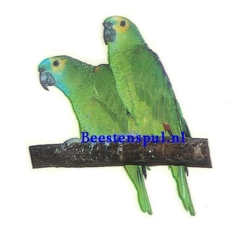 Sticker - Groene Amazone - 1 1 Groene Amazone sticker 03