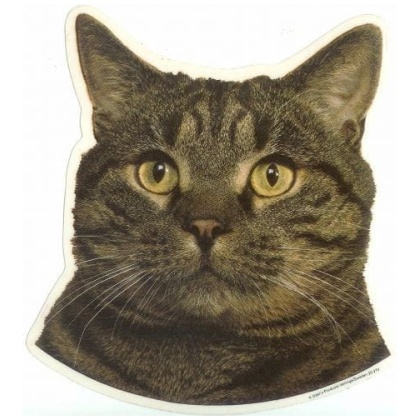 Europese Korthaar sticker 02