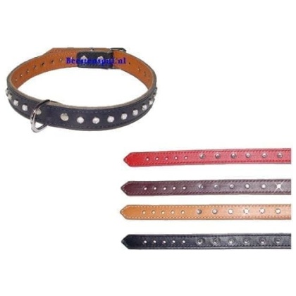 Halsband Medan luxer