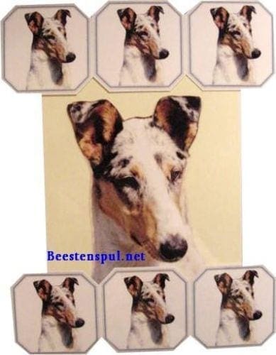 Onderzetter Set - Collie - Set 02 1 Collie onderzetter set 02