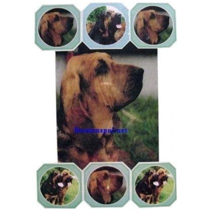 Bloedhond onderzetter set 02