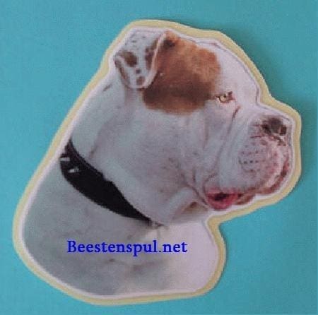 American Bulldog sticker 05