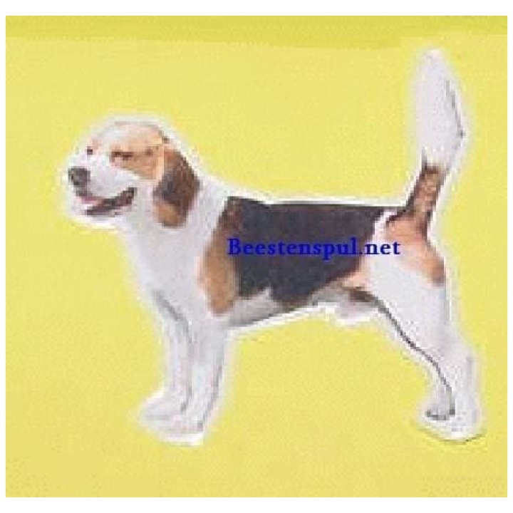 Beagle sticker 05