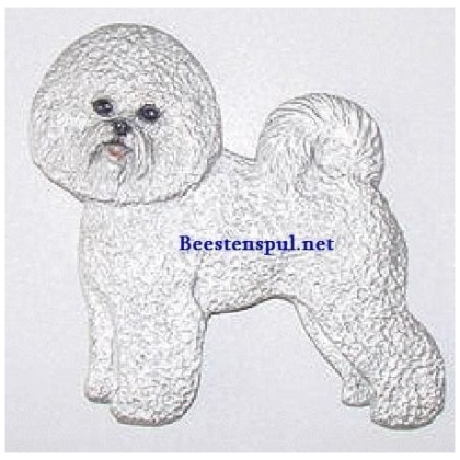 Bichon Frise decoratieplaat