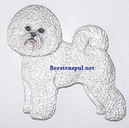 Decoratieplaat - Bichon Frisé 1 Bichon Frise decoratieplaat