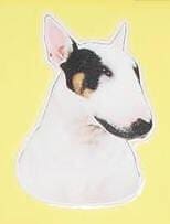 Bull Terrier sticker 09