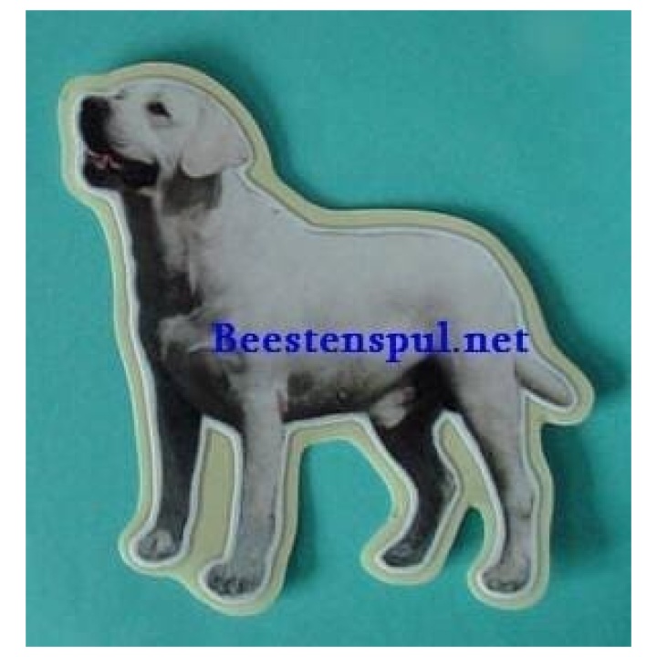 Labrador Blond sticker 06