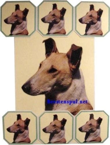Onderzetter Set - Collie - Set 01 1 Collie onderzetter set 01