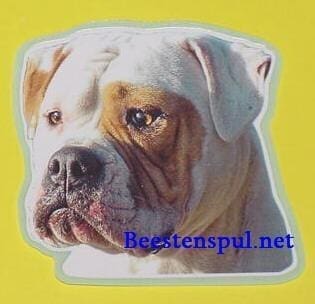 American Bulldog sticker 09