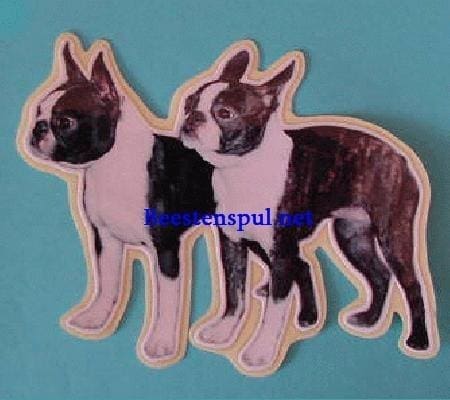 Boston Terrier sticker 04