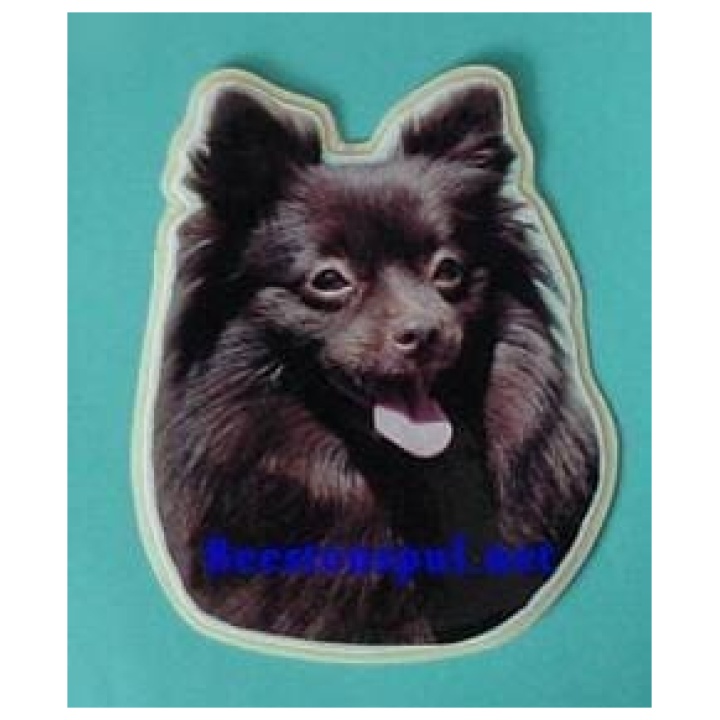 Pomeranian sticker 05
