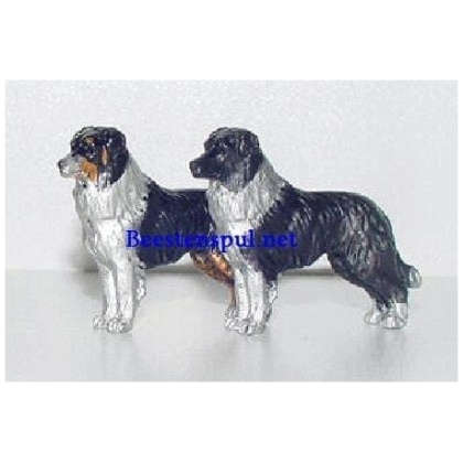 Border Collie minimodel