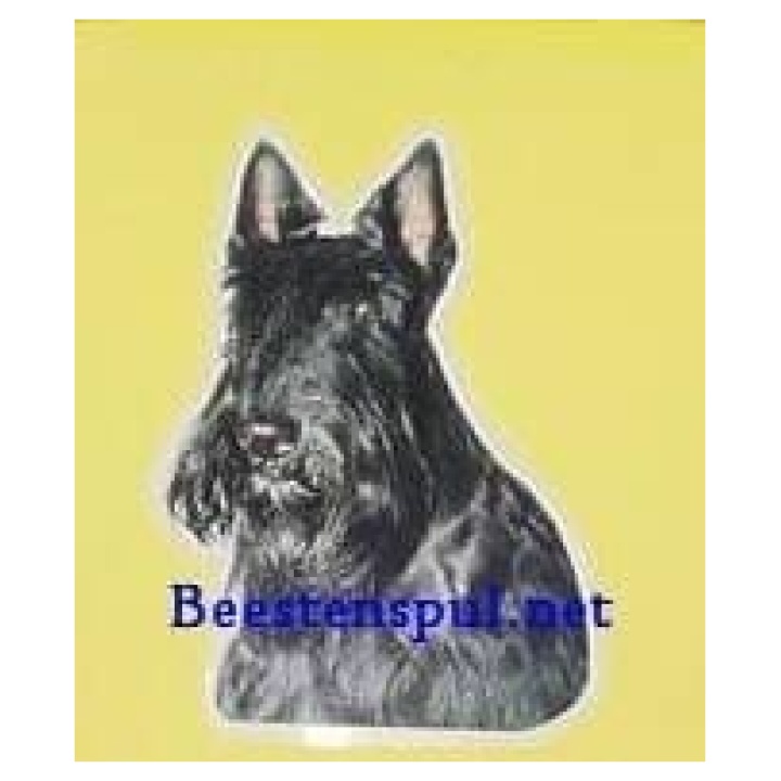 Schotse Terrier sticker 06