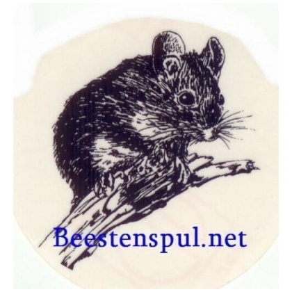 Muizen sticker 01
