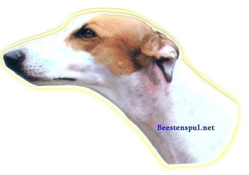 Greyhound sticker 14