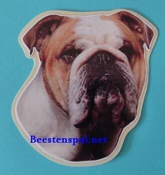 Engelse Bulldog sticker 03