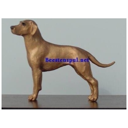 Rhodesian Ridgeback minimodel