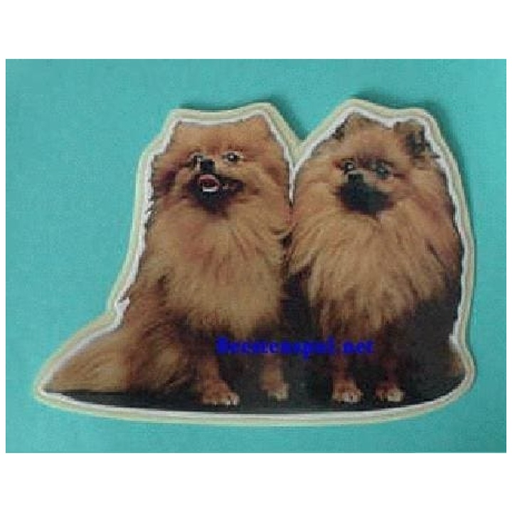 Pomeranian sticker 04