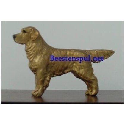 Golden Retriever minimodel