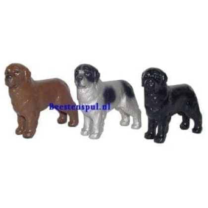 Newfoundlander beeld 2