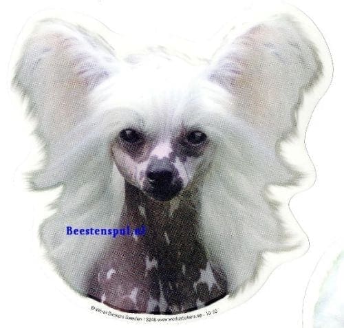 Chinese Naakthond sticker 09