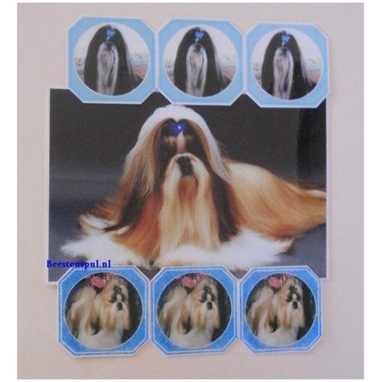 Shih Tzu onderzetter set 05