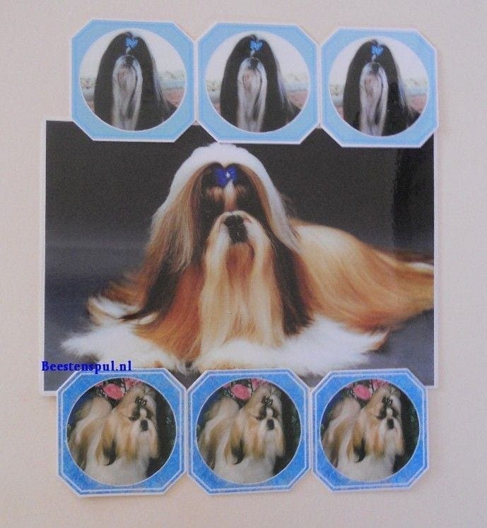 Onderzetter Set - Shih Tzu - Set 03 1 Shih Tzu onderzetter set 05