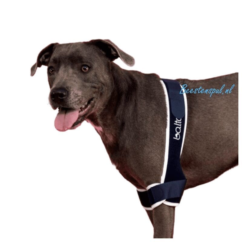 Balto - Brace Elleboog Dubbel (Soft Plus) 1 Balto - Brace Elleboog Dubbel (Soft Plus)
