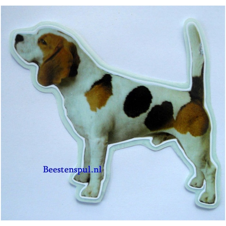 Beagle sticker 12