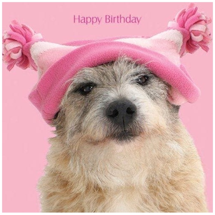 Otter House - Happy Birthday - Jack Russell