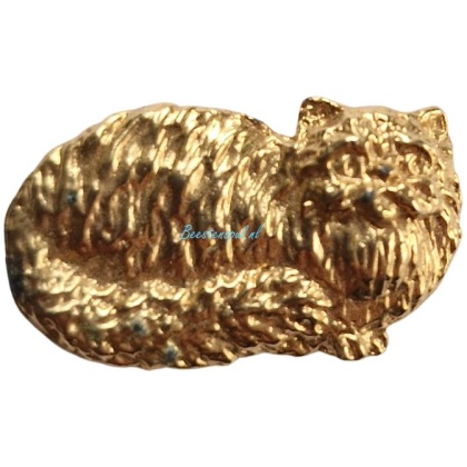 Pinbroche - Kat - 2