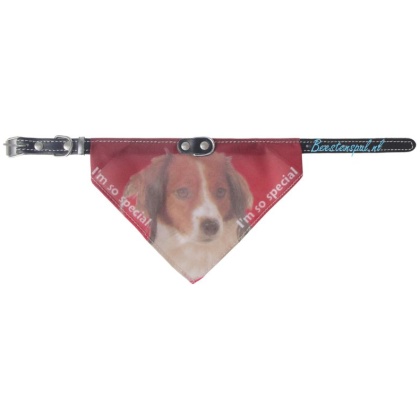 Halsband Zakdoek - Kooikerhondje