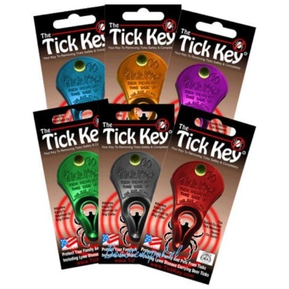 Tekentang - Tick Key