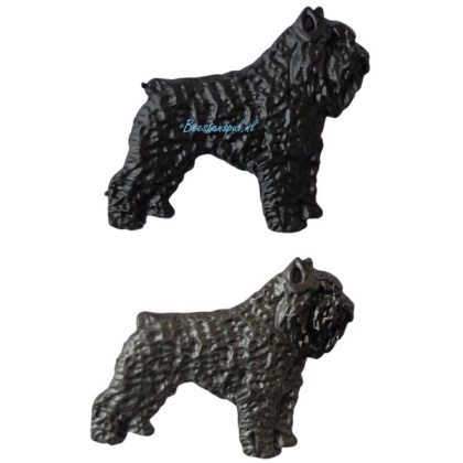 Pinbroche - Bouvier