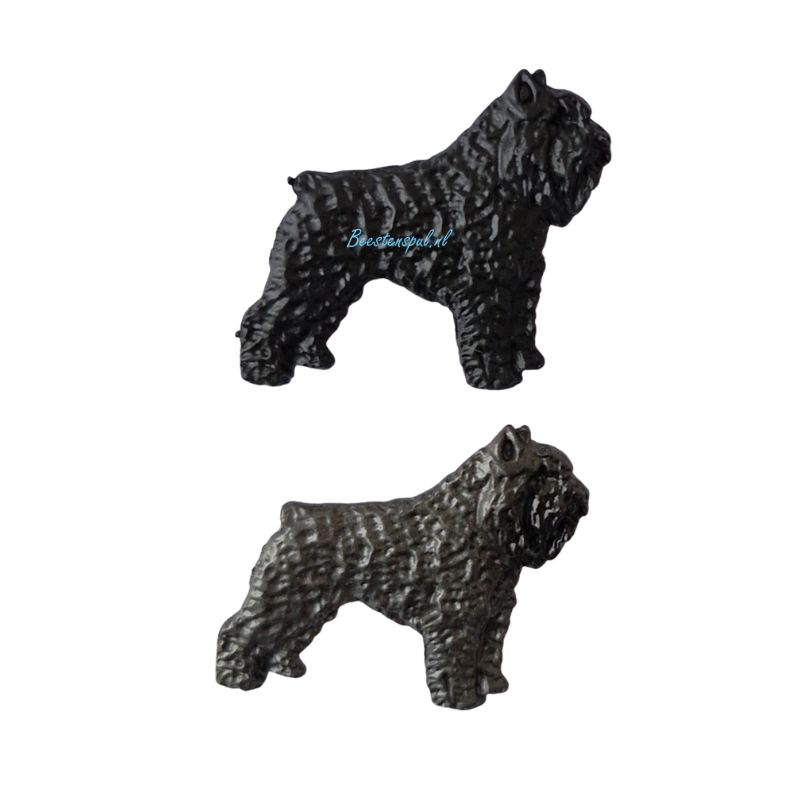 Pinbroche - Bouvier 1 Pinbroche - Bouvier