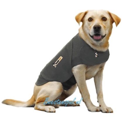 Thundershirt
