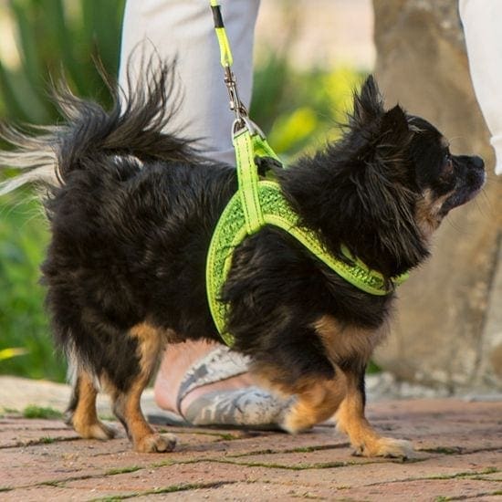 Rogz for Dogz - Tuig - Fast Fit 4 Rogz for Dogz - Tuig - Fast Fit - Afbeelding 4
