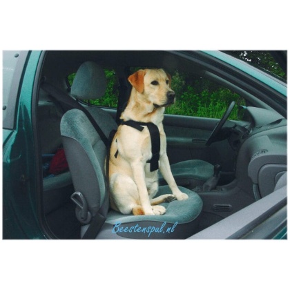 Beeztees - Autotuig - Nylon